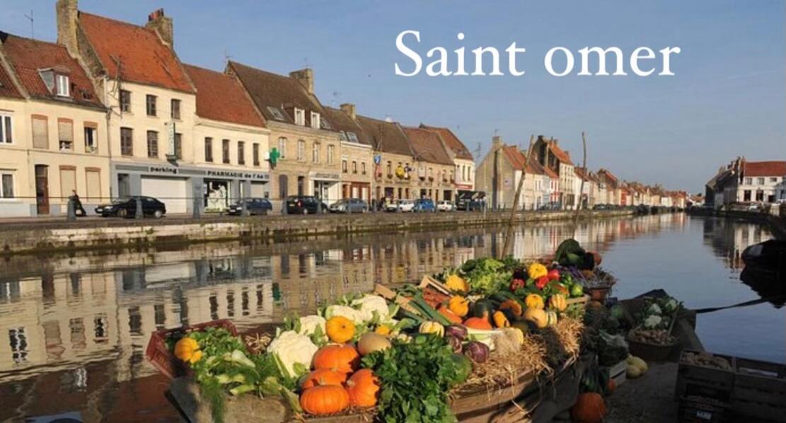 Le Clos Des Glycines * Saint-Martin-Lez-Tatinghem